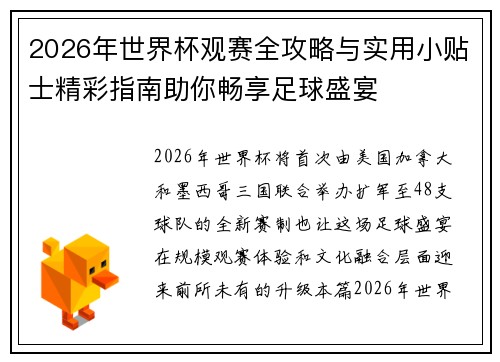 2026年世界杯观赛全攻略与实用小贴士精彩指南助你畅享足球盛宴